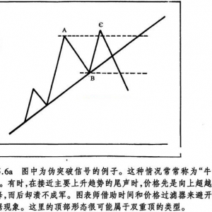 5.6 理想形态的变体