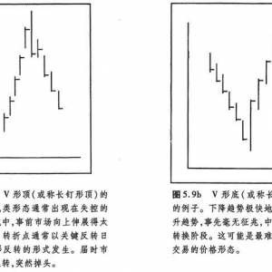 5.8 V形形态，或称长钉形