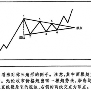 6.1 三角形、对称三角形